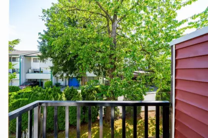 Entry Foyer Photo of 5 9405 121 Street, Surrey, BC