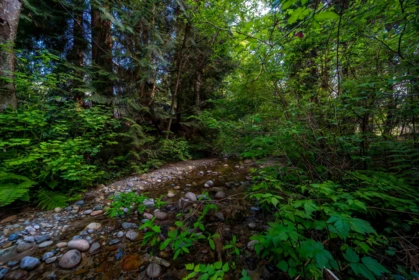 Garden / Landscaping Photo of 4067 Sefton Street, Port Coquitlam, BC