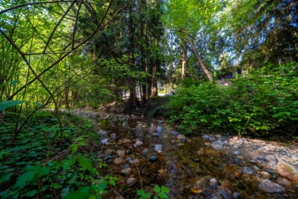Swimming Pool Photo of 4067 Sefton Street, Port Coquitlam, BC