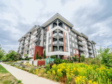 206 8117 200a Street, Langley, BC, Langley — Apartment/Condo for sale