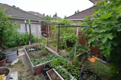 Garden / Landscaping Photo of 4780 No. 5 Road, Richmond, BC