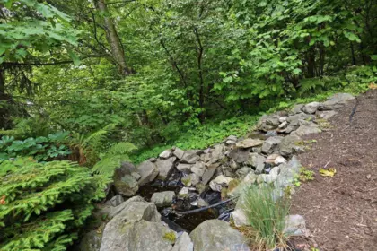 Neighborhood Park Photo Near 35787 Graystone Drive, Abbotsford, BC