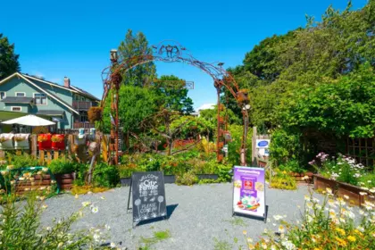 Street View Photo of 203 2239 W 7th Avenue, Vancouver, BC