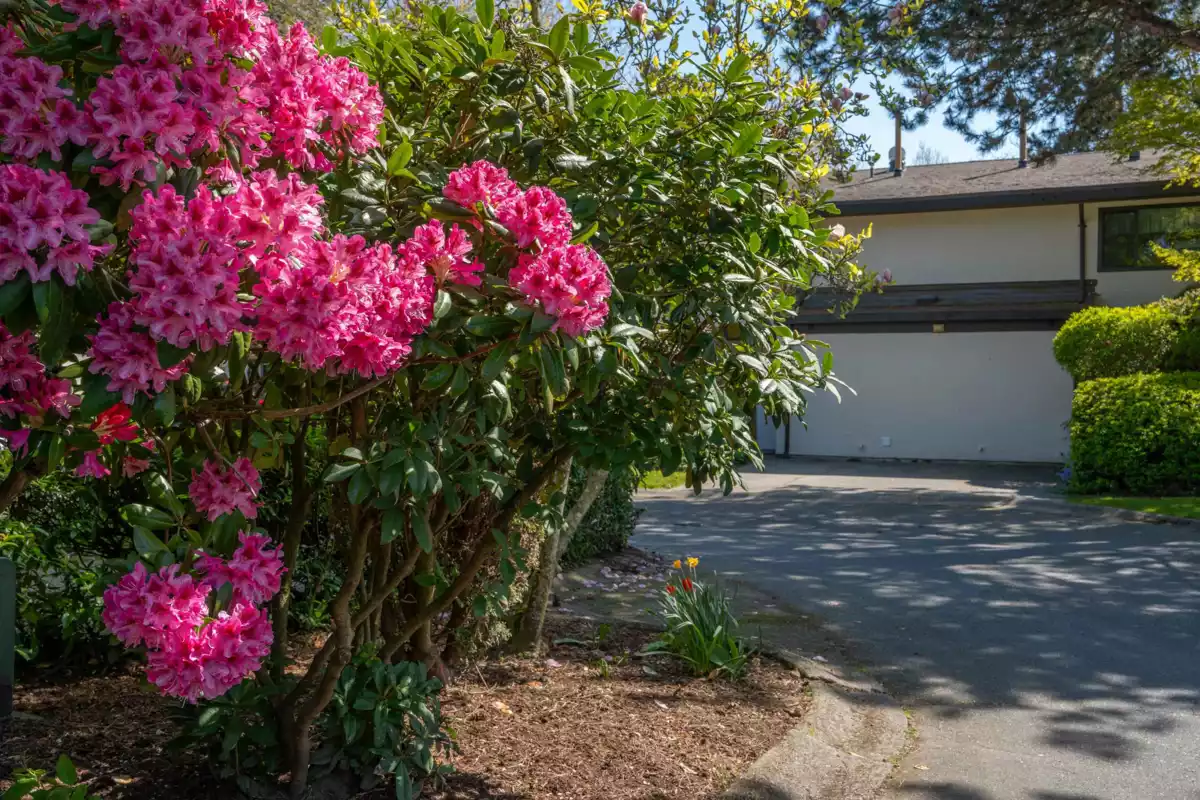 Exterior Rear Photo of 71 11491 7th Avenue, Richmond, BC