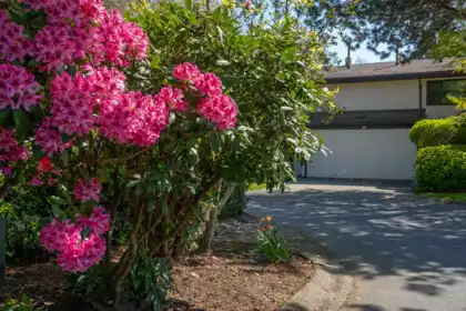 71 11491 7th Avenue, Richmond, BC