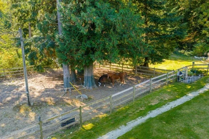 Swimming Pool Photo of 43699 Ohman Road, Mission, BC