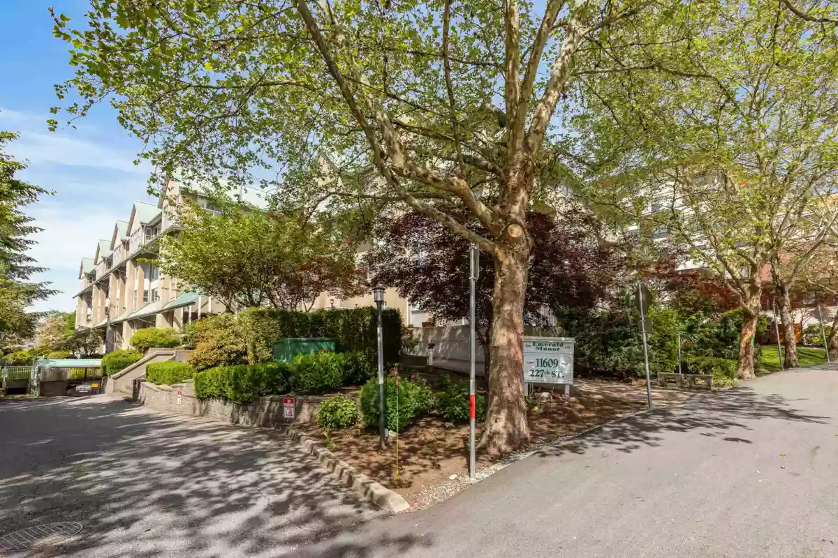 Backyard Photo of 205 11609 227 Street, Maple Ridge, BC