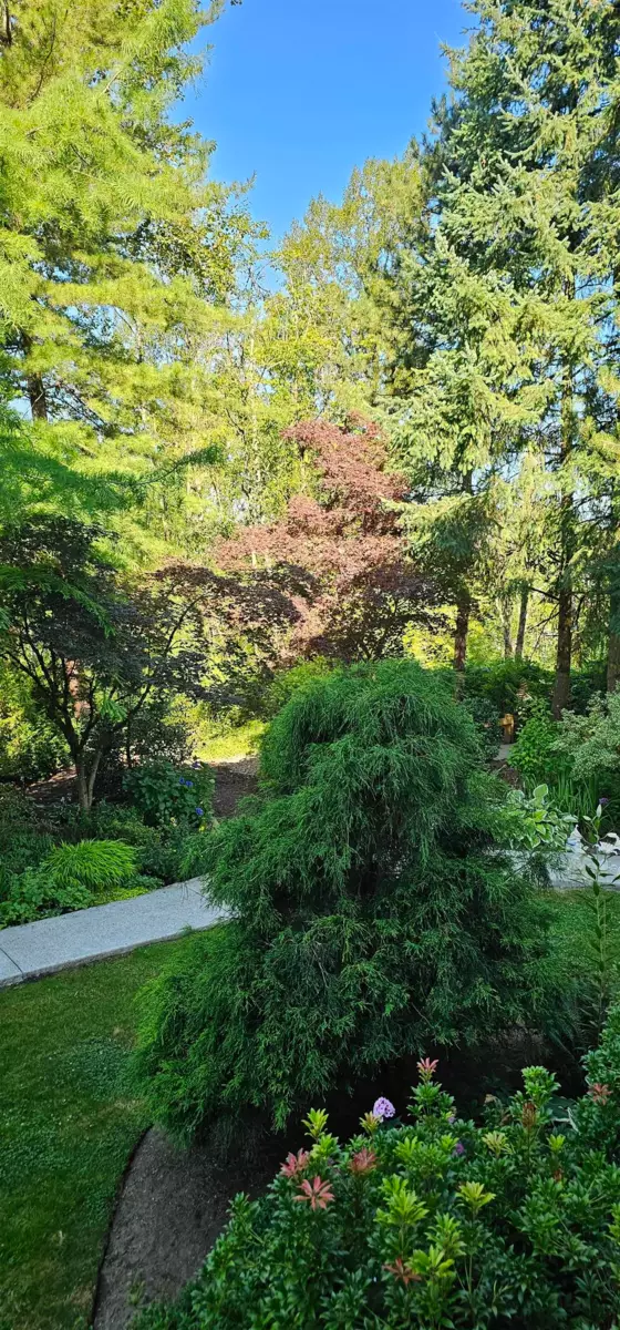 Outdoor Deck Photo of 205 11609 227 Street, Maple Ridge, BC