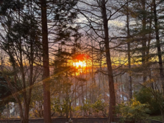 205 11609 227 Street, Maple Ridge, BC