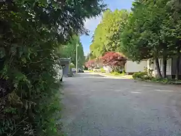 Front Yard Photo of 3 21091 Lougheed Highway, Maple Ridge, BC