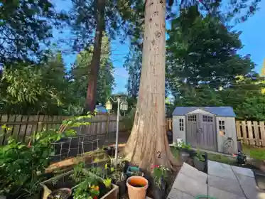 Outdoor Patio Photo of 3 21091 Lougheed Highway, Maple Ridge, BC