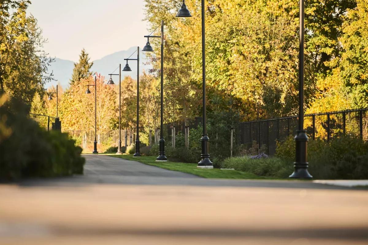 Primary Bedroom Photo of 79 2886 Montrose Avenue, Abbotsford, BC