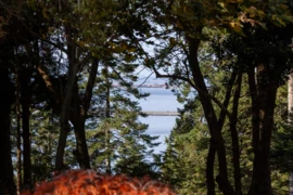 535 English Bluff Road, Delta, BC