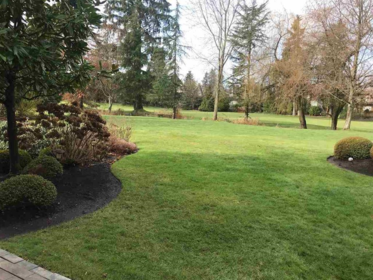 3689 159a Street, Surrey, BC, Surrey — Single Family Residence for sale