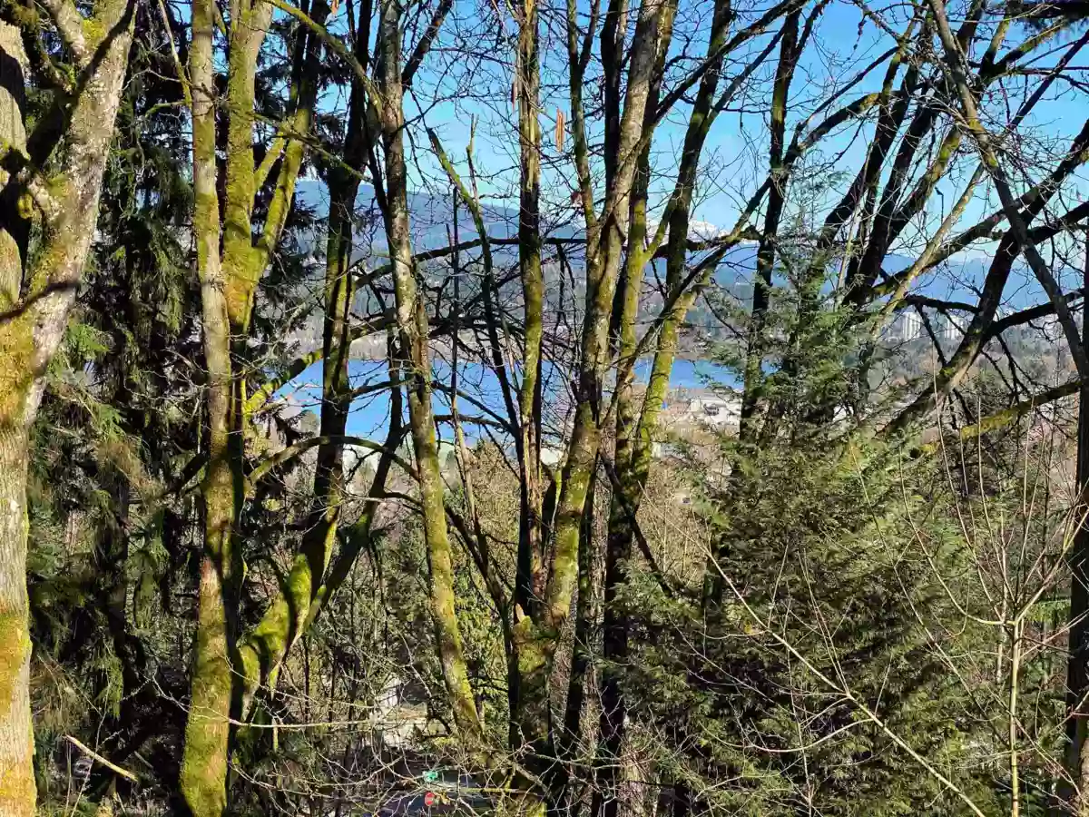Staircase Photo of 1134 Chateau Place, Port Moody, BC