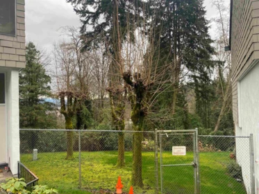 Garden / Landscaping Photo of 1134 Chateau Place, Port Moody, BC