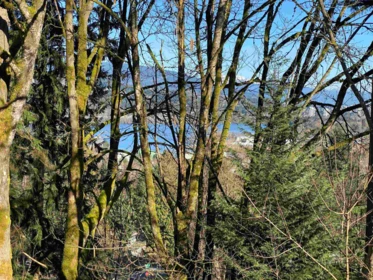 Outdoor Deck Photo of 1134 Chateau Place, Port Moody, BC