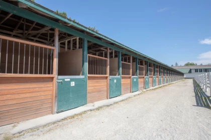 Community Amenities Photo (Clubhouse) of 21973 132 Avenue, Maple Ridge, BC
