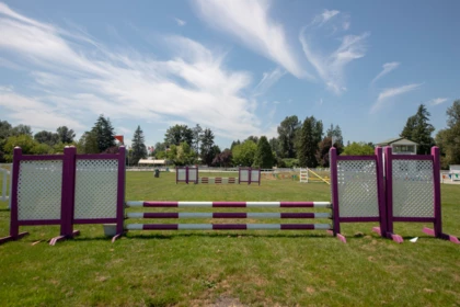 Neighborhood Park Photo Near 21973 132 Avenue, Maple Ridge, BC