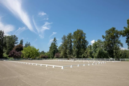 Street View Photo of 21973 132 Avenue, Maple Ridge, BC
