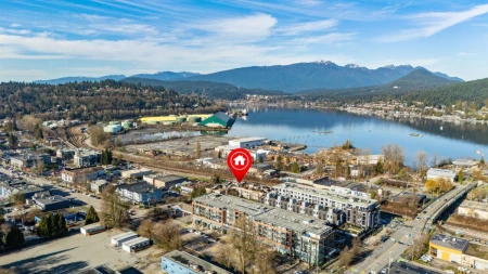 Aerial View of 3005 84 Grant Street, Port Moody, BC