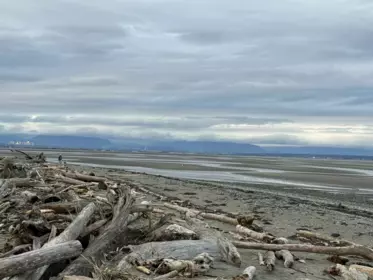 225 67a Street, Delta, BC, Boundary Beach — 4 bed single family residence for sale