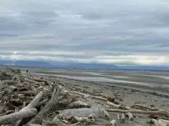 225 67a Street, Delta, BC