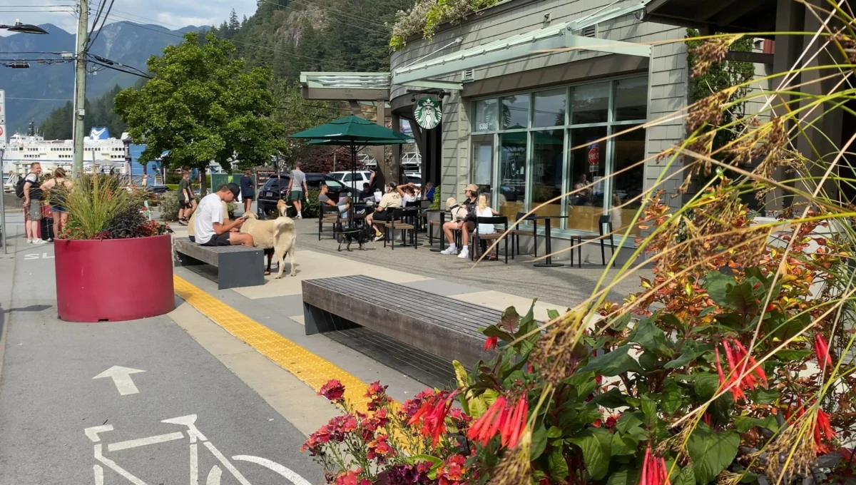 Basement Recreation Room Photo of 6544 Royal Avenue, West Vancouver, BC
