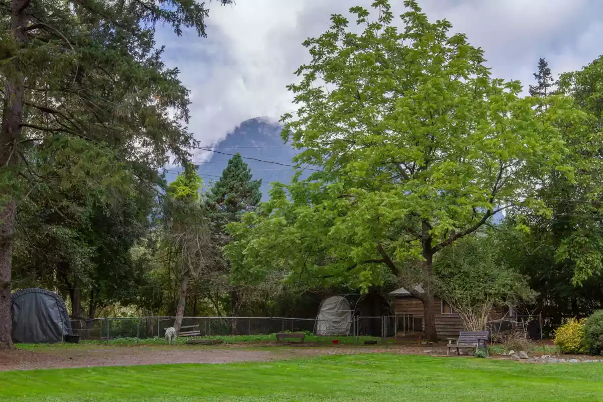 Bedroom 4 Photo of 1020 Finch Drive, Squamish, BC