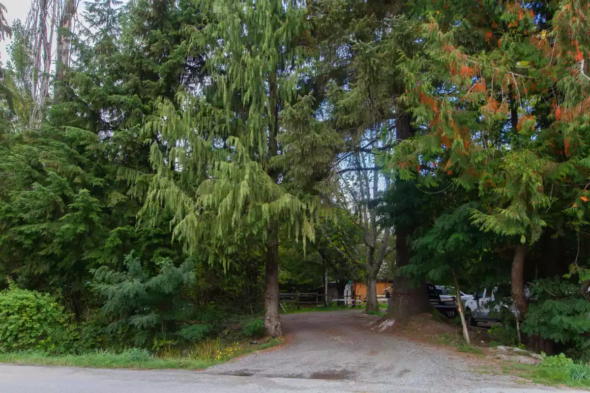 Front Yard Photo of 1020 Finch Drive, Squamish, BC