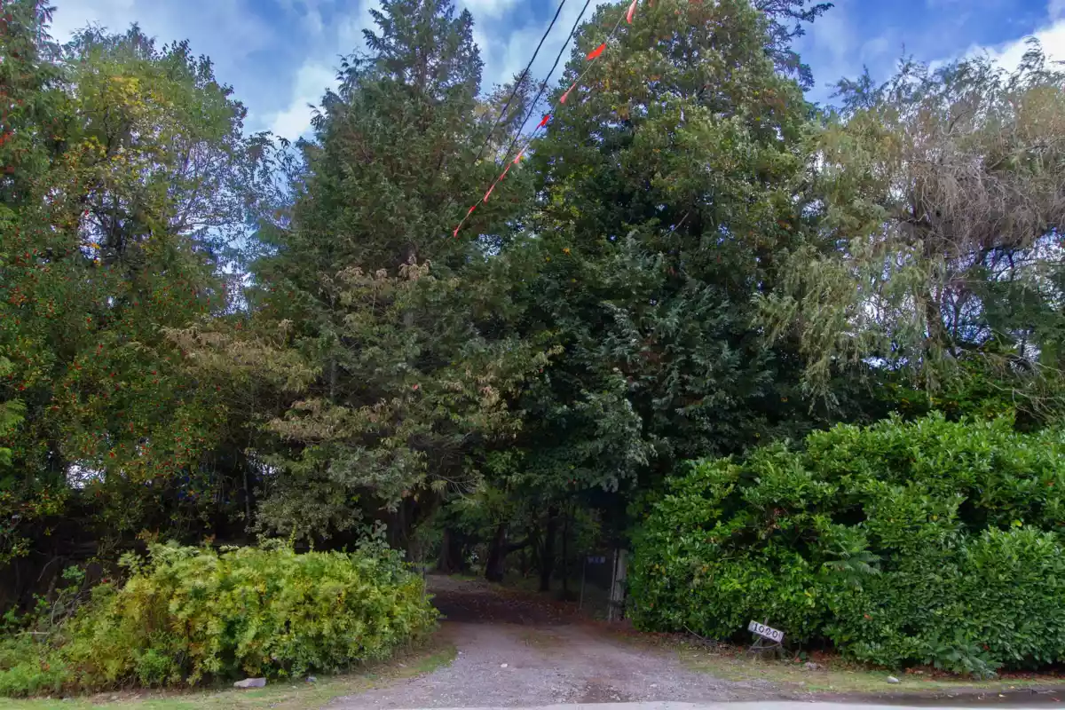 Garden / Landscaping Photo of 1020 Finch Drive, Squamish, BC