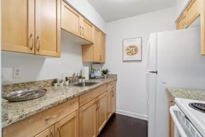 Kitchen Photo of 104 37 Agnes Street, New Westminster, BC