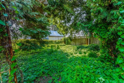 Playground / Recreational Area Near 46220 Maple Avenue, Chilliwack, BC