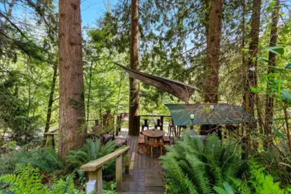 Outdoor Deck Photo of 24400 130 Avenue, Maple Ridge, BC