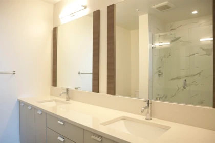 Walk-In Closet Photo of A327 20727 Willoughby Town Centre Drive, Langley, BC