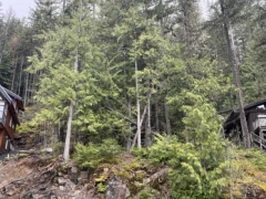 14701 Parkview Avenue, Sunshine Valley, BC