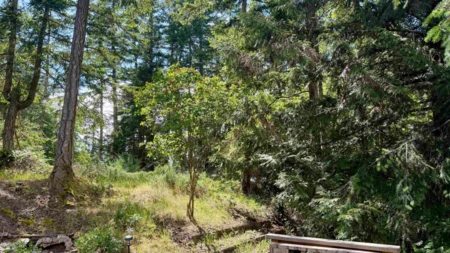 Backyard Photo of 37150 Schooner Way, Pender Island, BC