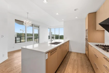 Pantry Photo of 1306 3533 Ross Drive, Vancouver, BC