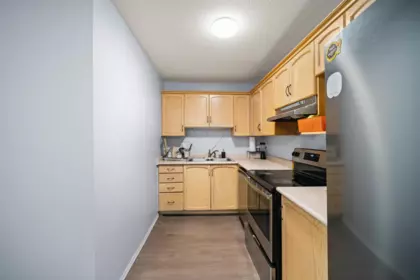 Pantry Photo of 207 2962 Trethewey Street, Abbotsford, BC