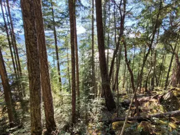 Living Room Photo of Lot 108 Seaview Road, Sechelt, BC