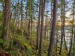 Lot 108 Seaview Road, Sechelt, BC