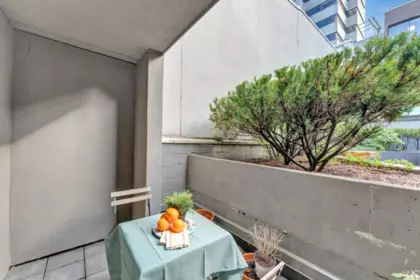 Garden / Landscaping Photo of 101 2412 Alder Street, Vancouver, BC
