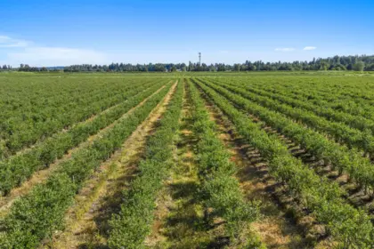 15683 64 Avenue, Surrey, BC, Surrey — Land for sale