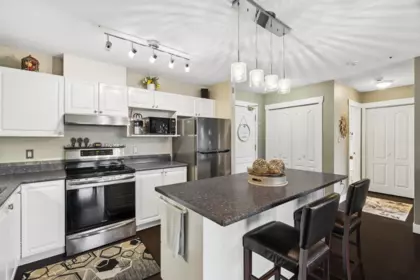 414 2968 Burlington Drive, Coquitlam, BC, Coquitlam — Apartment/Condo for sale
