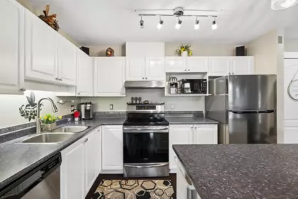 414 2968 Burlington Drive, Coquitlam, BC, Coquitlam — Apartment/Condo for sale