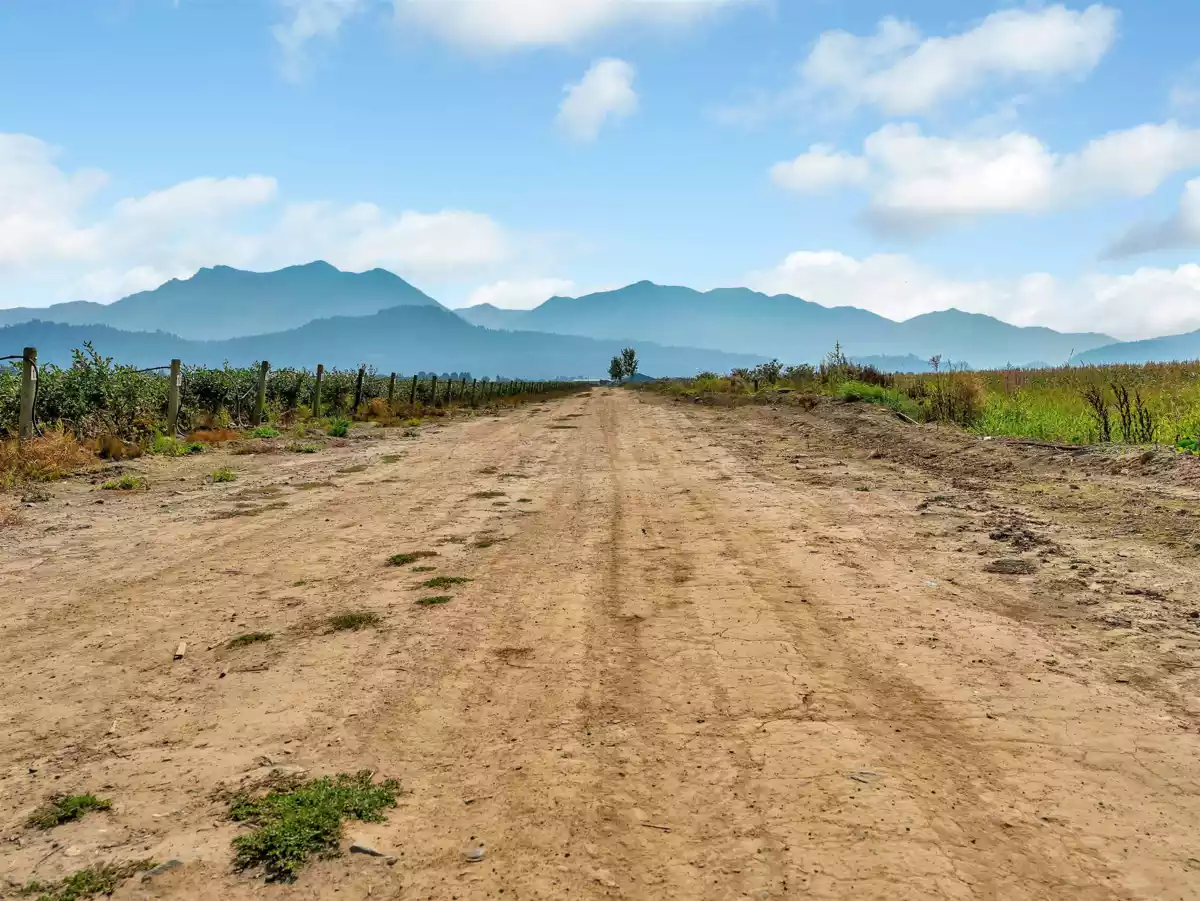 Bedroom 4 Photo of 46950 Chilliwack Central Road, Chilliwack, BC