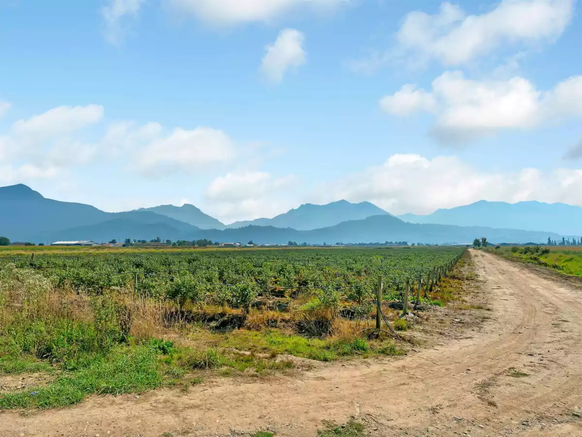 Primary Bathroom Photo of 46950 Chilliwack Central Road, Chilliwack, BC