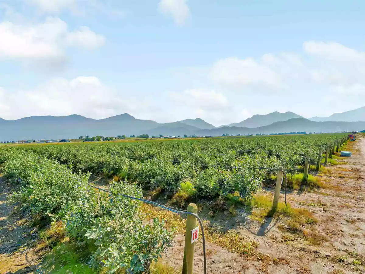 Primary Bedroom Photo of 46950 Chilliwack Central Road, Chilliwack, BC