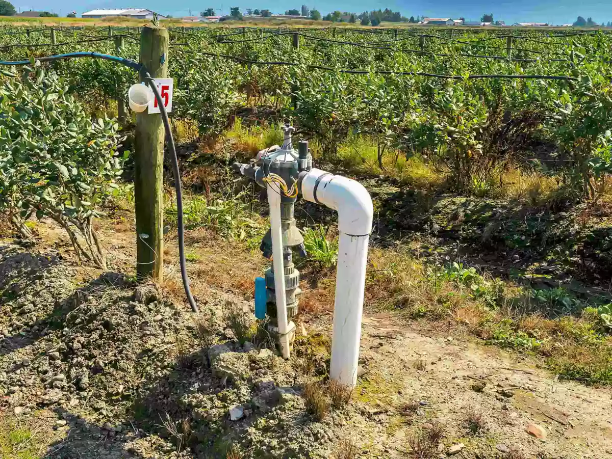 Walk-In Closet Photo of 46950 Chilliwack Central Road, Chilliwack, BC