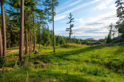 Lot 2 Innisfree Lane, Bowen Island, BC, Bowen Island — Land for sale